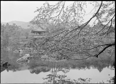 rksi_961798(京都府京都市北区金閣寺町_鹿苑寺)