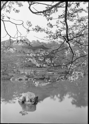 rksi_961831(京都府京都市北区金閣寺町_鹿苑寺)