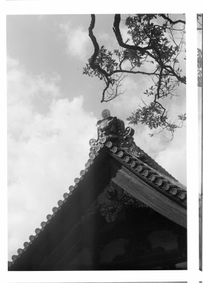 rksi_961961()