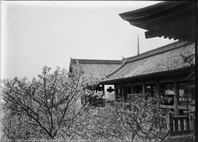 rksi_962086()