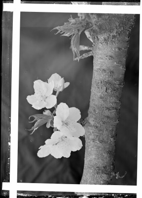rksi_963538()