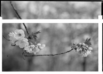 rksi_963540()
