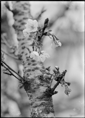 rksi_963541()