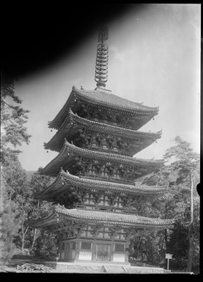 knd_00132(京都府京都市伏見区醍醐伽藍町)