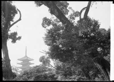 knd_00149(京都府京都市東山区八坂上町)