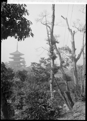 knd_00152(京都府京都市東山区八坂上町)