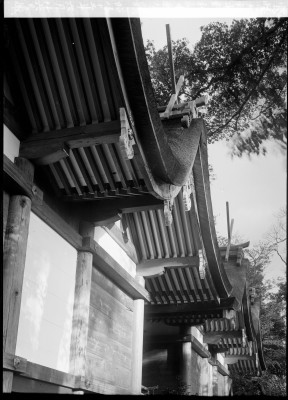 knd_00191(京都府京都市北区平野宮本町１)