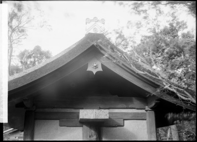 knd_00281(京都府京都市東山区本町１５丁目)