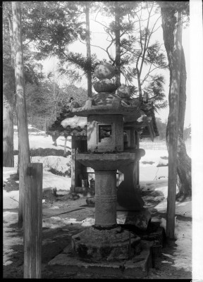 knd_00291(京都府京丹後市弥栄町溝谷)