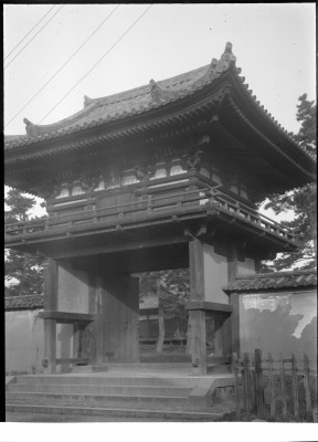 knd_00398()