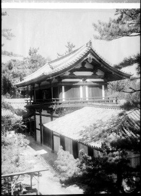 knd_00447()