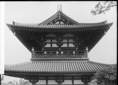 knd_00456()