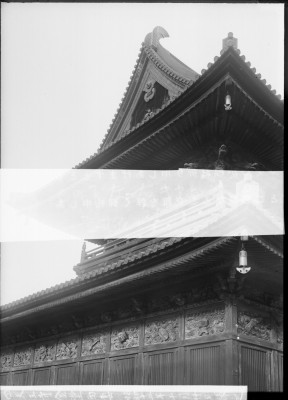 knd_00464()