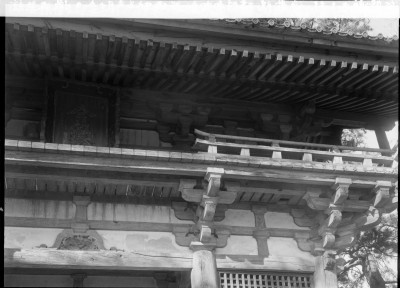knd_00504()