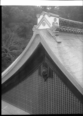 knd_00518()