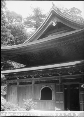 knd_00559()