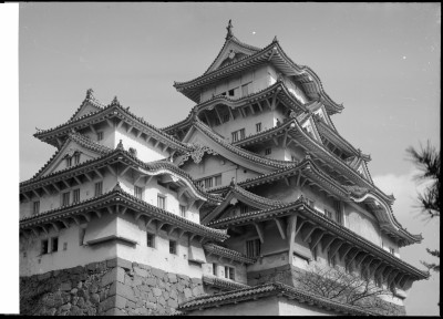 knd_00653()