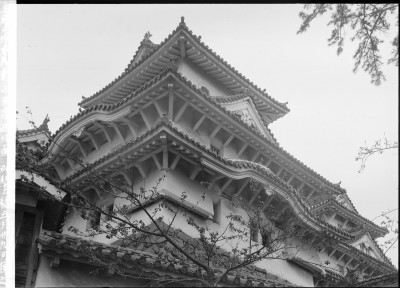 knd_00659()