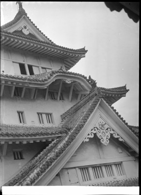 knd_00660()