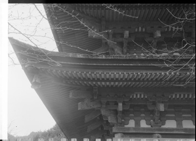 knd_00757()
