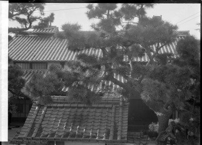 knd_00781()