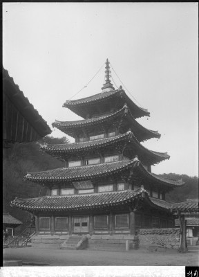 knd_00893()