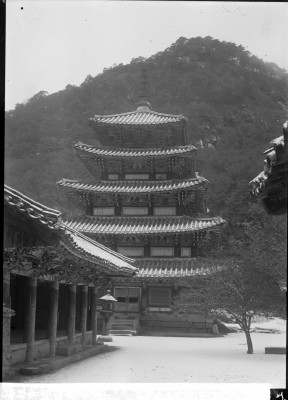 knd_00905()