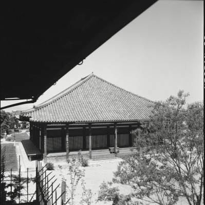 knd_21859()