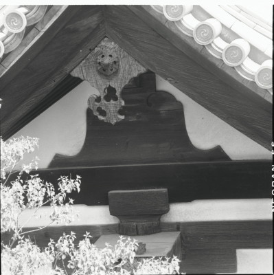 knd_21875()
