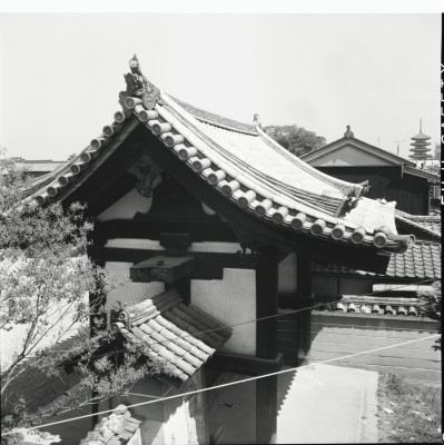 knd_21877()