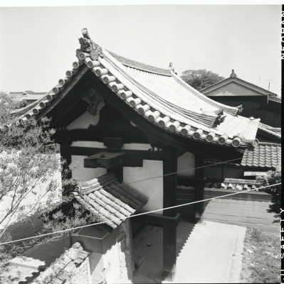 knd_21879()