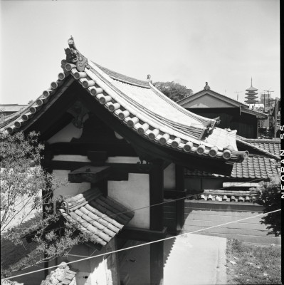 knd_21880()