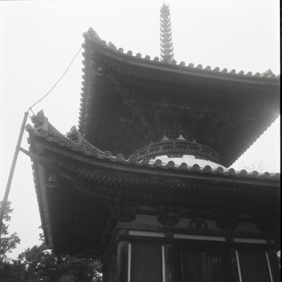 knd_22004()