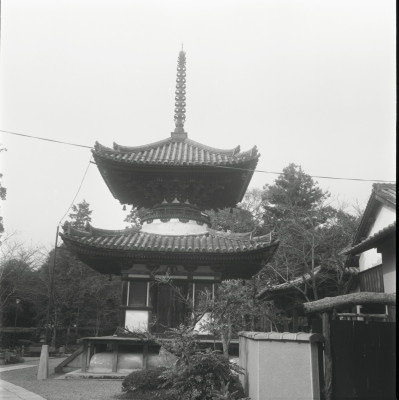 knd_22006()
