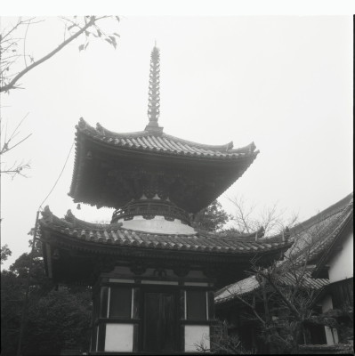 knd_22007()