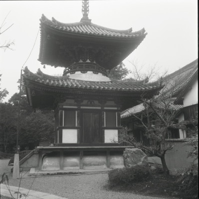 knd_22008()