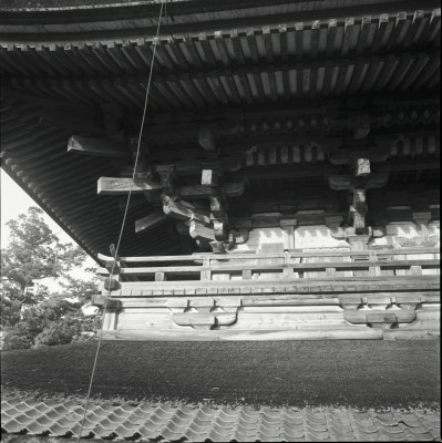 knd_22039()