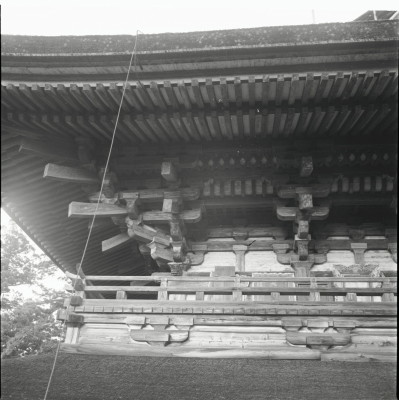 knd_22054()