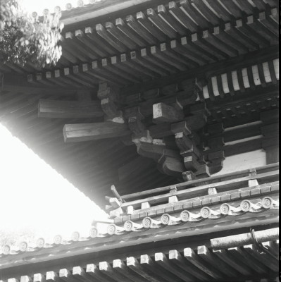 knd_22091()