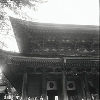 knd_22116()
