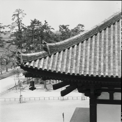 knd_22189()