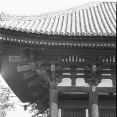 knd_22202()