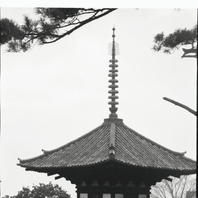 knd_22279()