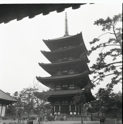 knd_22319()