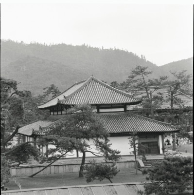 knd_22323()