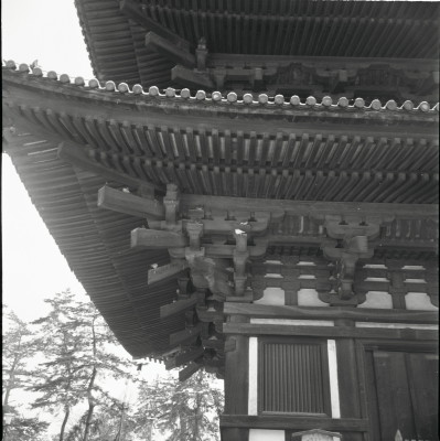 knd_22332()