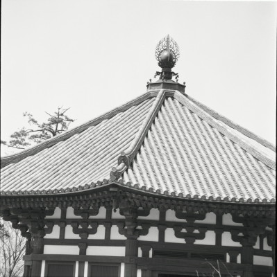 knd_22393()