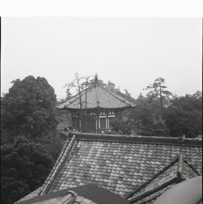 knd_22397()