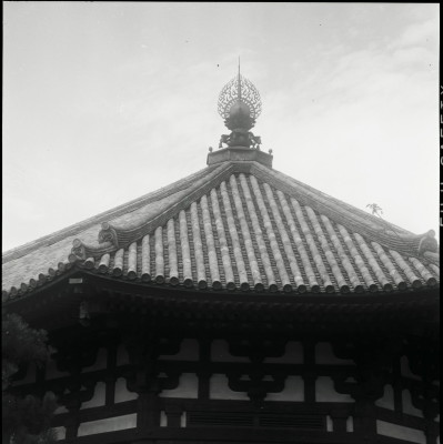 knd_22424()