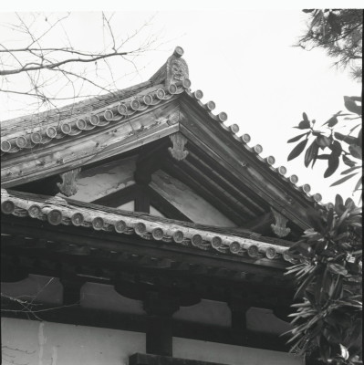knd_22727()